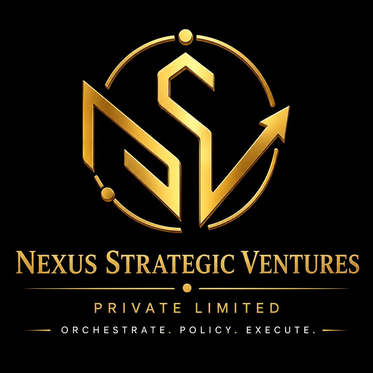 NSV Logo